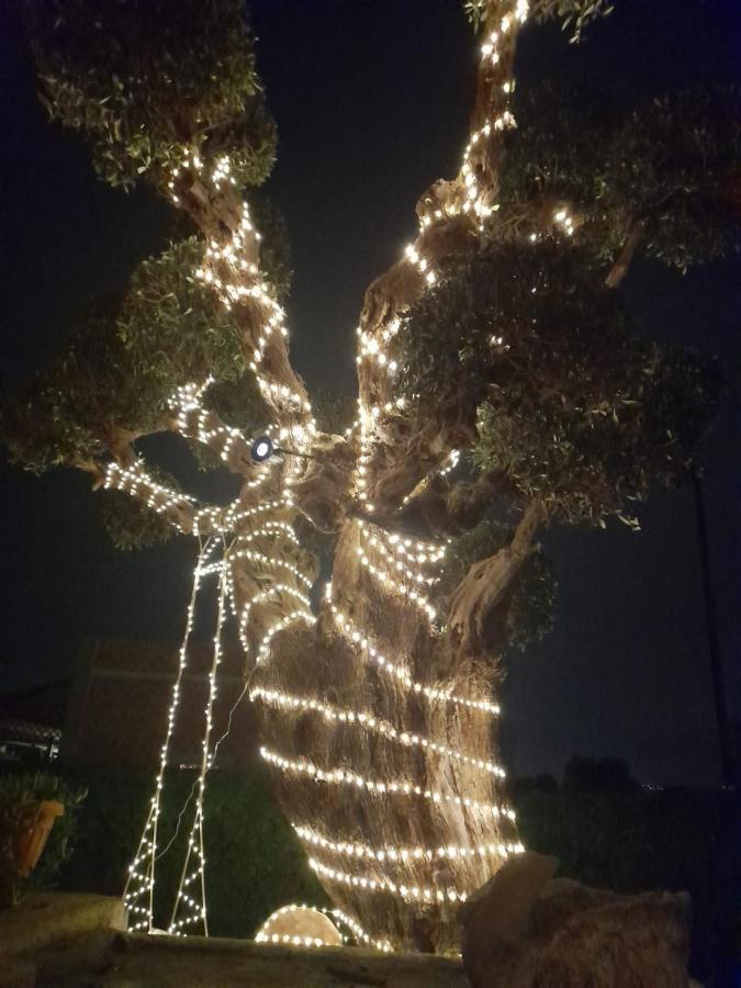מונופולי La Mia Tavernetta מראה חיצוני תמונה